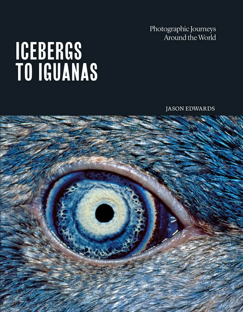 Jason Edwards Icebergs to Iguanas book cover