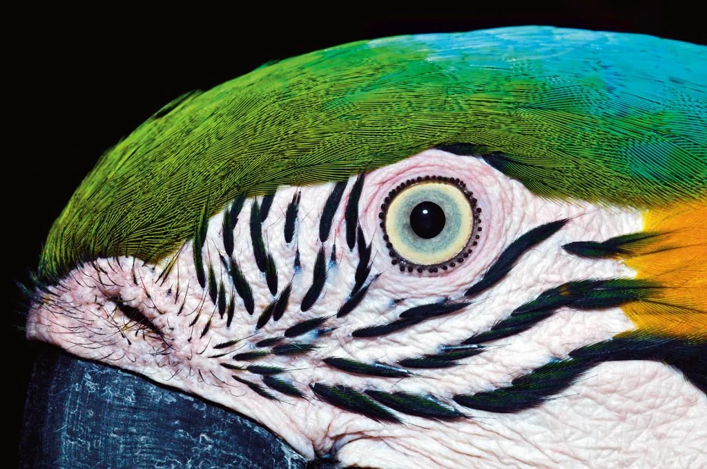 Jason Edwards National Geographic field photography