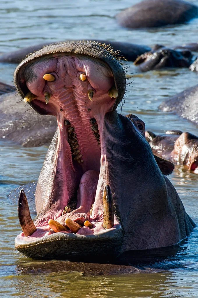 Jason Edwards National Geographic photography