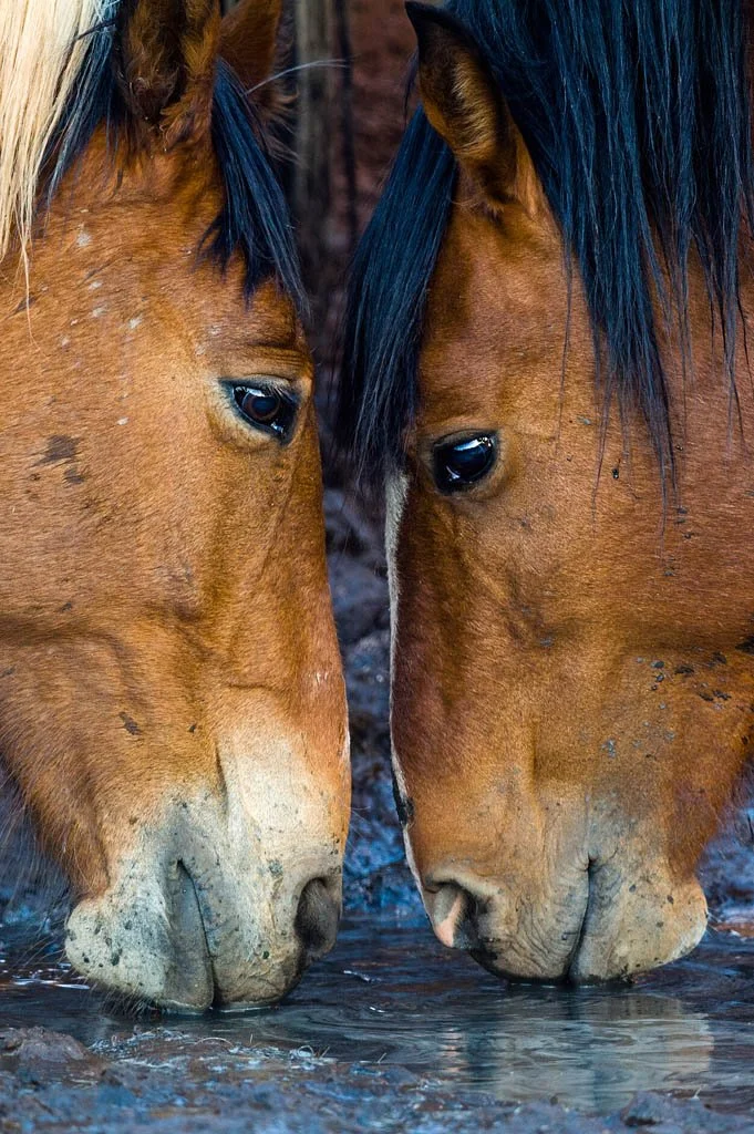Jason Edwards National Geographic photography