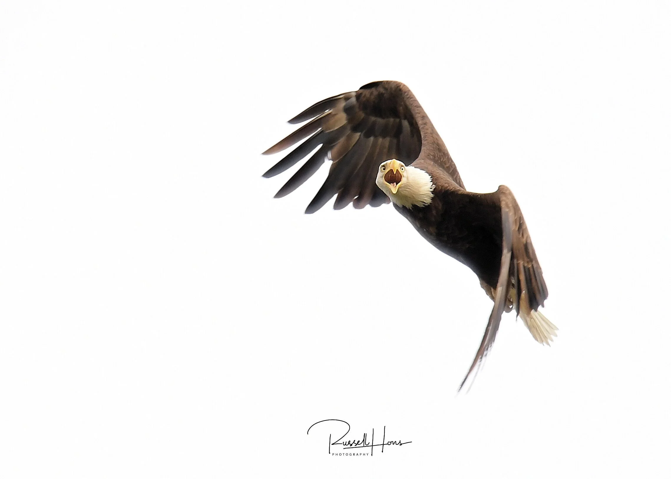 Russ Hons sports photography