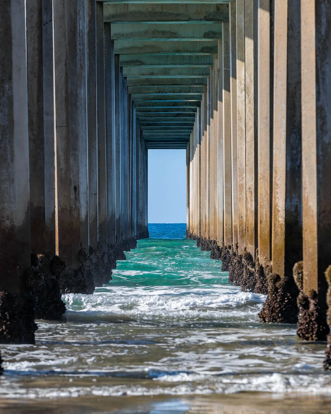 Steve Campos — San Diego Scripps ocean photography